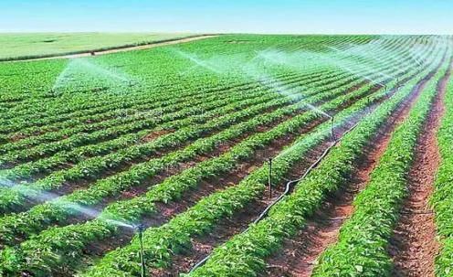 插bb视频农田高 效节水灌溉